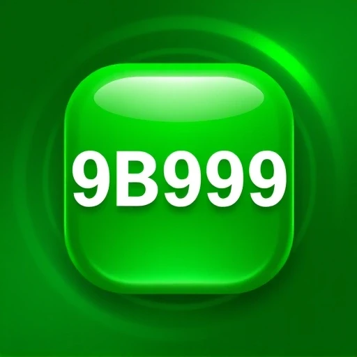 9b999.com